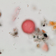 Pollen from a sweetgum tree.